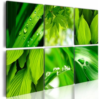 Tableau feuilles vertes fraîches 120 x 80 cm