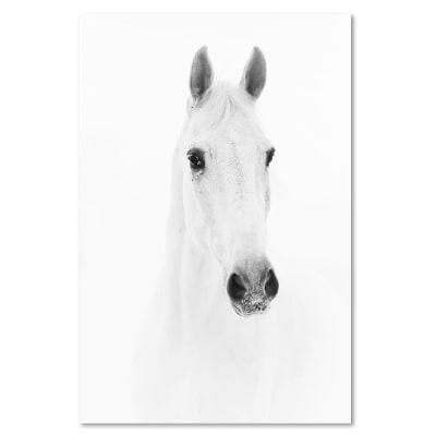 Tableau cheval gris 80 x 120 cm