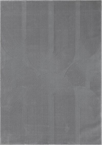 Tapis design salon moderne art curve durable, gris, 160 x 230 cm