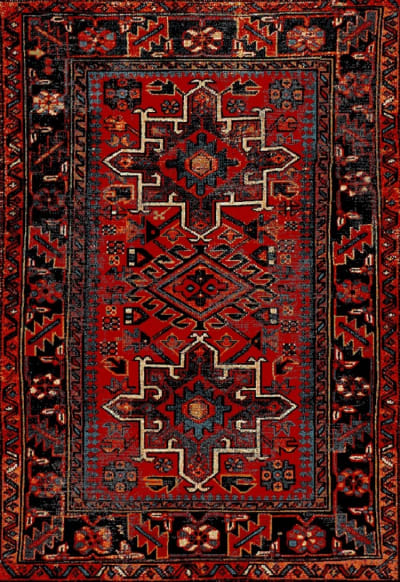 Tapis de transition en polypropylène rouge/multicolore, 274 x 366 cm